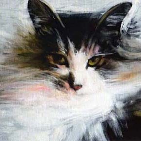 美しき猫たち　吉成勝廣　展