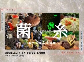 「キノコットン＋役にたたないきのこ「菌糸」」